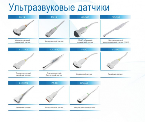 Диагностическая ультразвуковая система Acclarix LX85